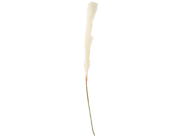 Pampas LIANA Weiss