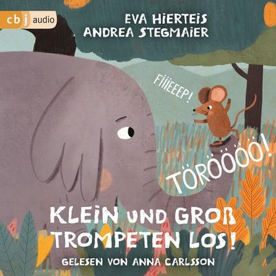 TÖRÖÖÖÖ! FIIIEEEP! Klein und Groß trompeten los! - - Eva Hierteis, Audio, 9783759904867