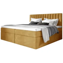 BOXBETT Linnea