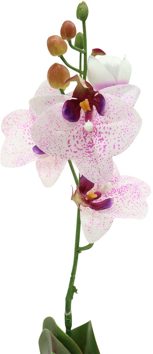 VIANA Kunstmatige Phalaenopsis-orchidee wit en paars, 43 cm