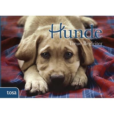 Hunde, Gebundene Ausgabe von , Tosa