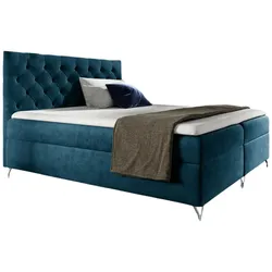BOXBETT Ambre In Fresh