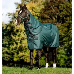 Horseware Amigo Ripstop 900D Plus Turnout 100g Decke Dynasty Green/Navy & Silver, Horseware Deckengröße: 155 cm / 6 ́9