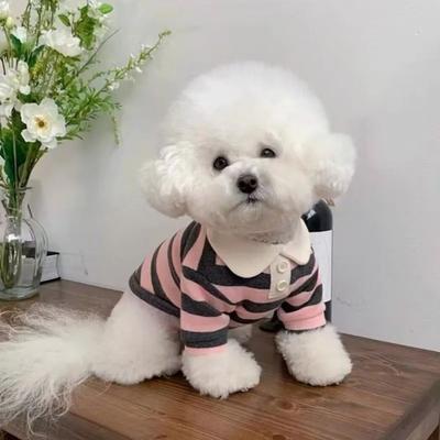 Inspired Living CoolBreeze Striped Dog Shirt With Polo CollarCoolBreeze Striped Dog Shirt With Polo Collar pink 2xl