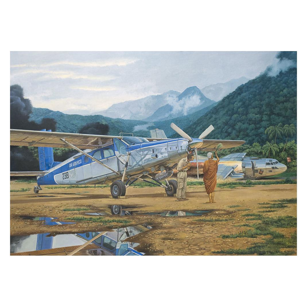 Roden Pilatus PC-6C/H-2 Turbo-Porter (23797130)