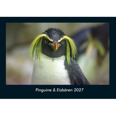 Pinguine & Eisbären 2027 Fotokalender DIN A4