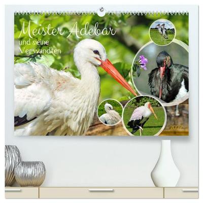 Meister Adebar und seine Verwandten (hochwertiger Premium Wandkalender 2027 DIN A2 quer), Kunstdruck in Hochglanz