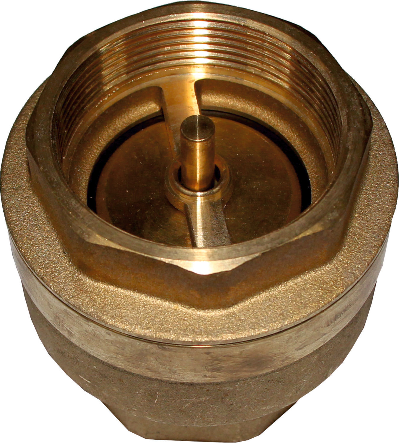 Wolf clapet anti-retour IT 2" PN10 2071483 pour LS, SLS, FWS