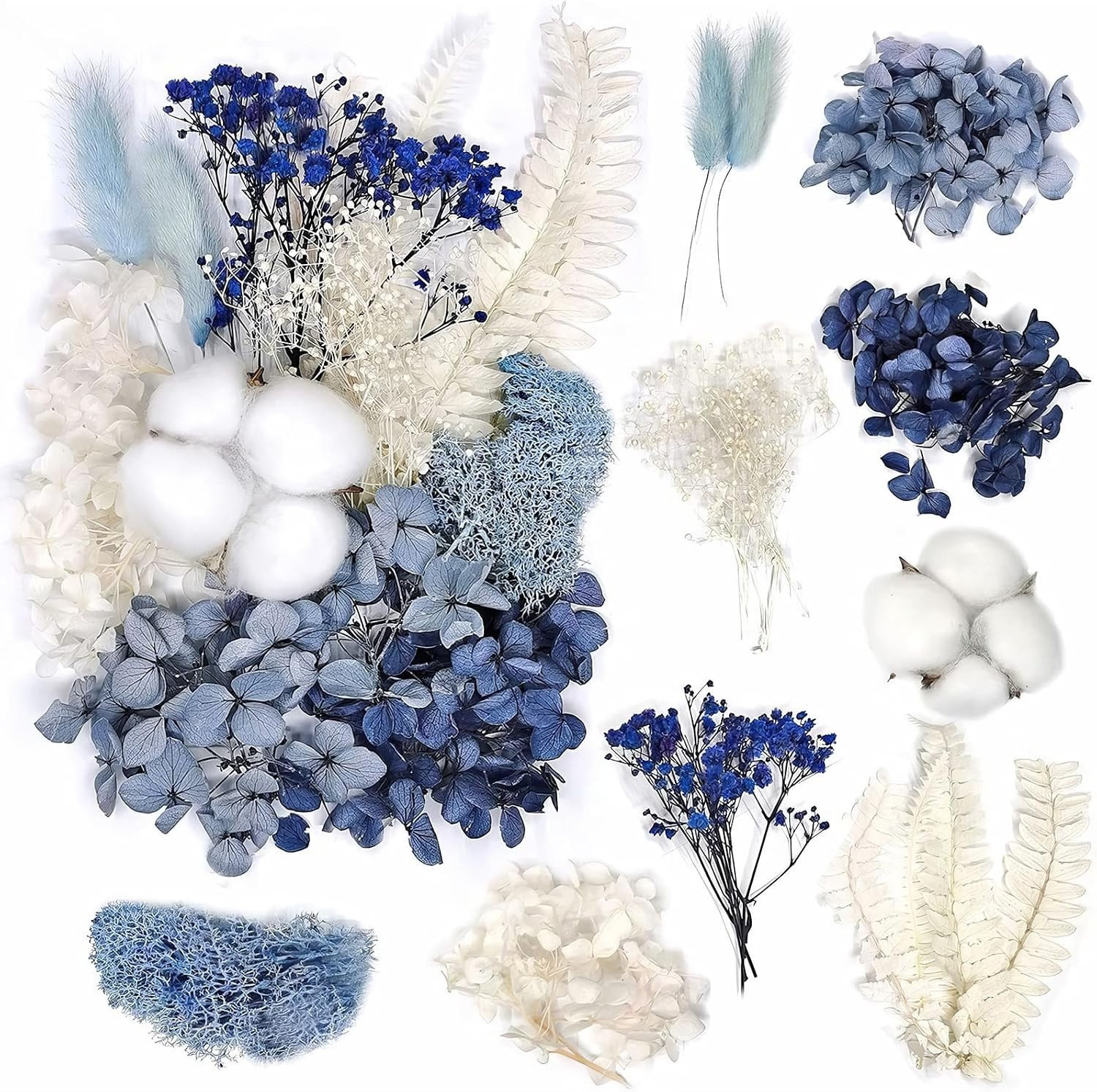 Gedroogde Hortensia voor Decoratie, DIY, Scrapbooking en Sieraden maken