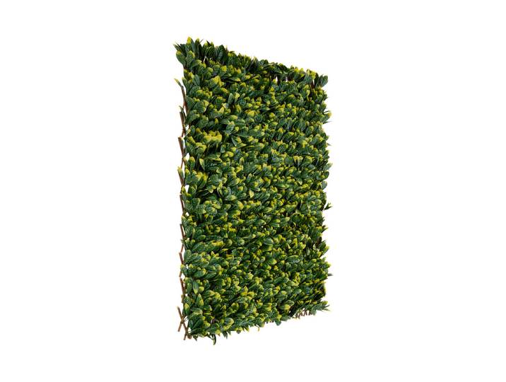 Tenax Sichtschutzhecke Divy 3D Osmanthus 1x2 m