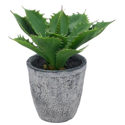 Kunstpflanze CREATIV GREEN "Echeveria", grün, H:25cm, Kunststoff, Kunstpflanzen, Kunstpflanze, mit naturgetreuem Blattwerk