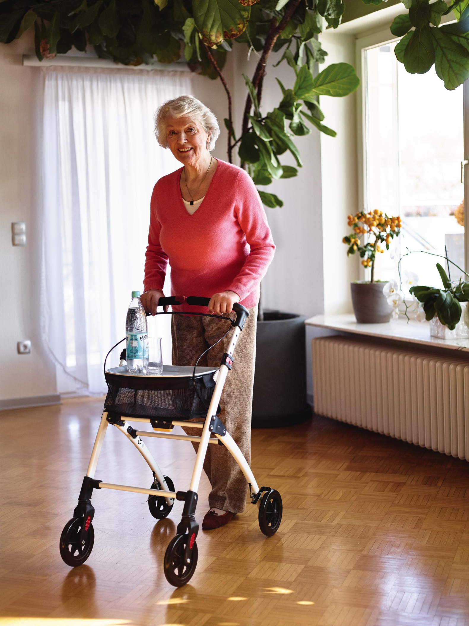 RIDDER Wohnraum Rollator »Pit«, klappbar