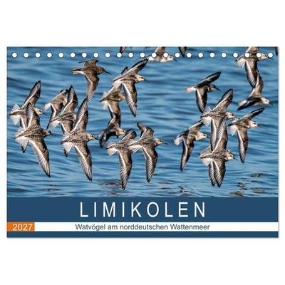 Limikolen - Watvögel am norddeutschen Wattenmeer (Tischkalender 2027 DIN A5 quer), CALVENDO Monatskalender