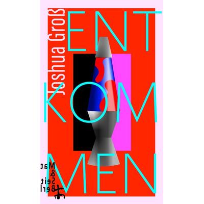 Entkommen, Gebundene Ausgabe von Joshua Gross, Matthes & Seitz, 978-3-95757-940-9