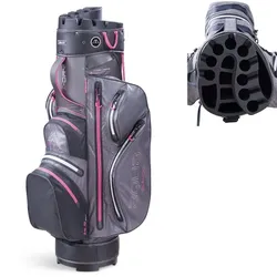 Big Max Aqua Silencio 3 Cartbag grau/fuchsia