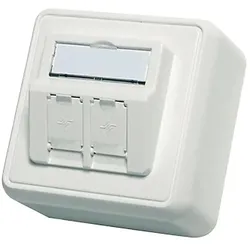 Telegärtner Basis V Modul-Aufn. 80x80 2-fach AP alpinweiß