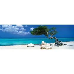 Bild DIVI DIVI TREE (BHT 156x52x2 cm) - bunt - BHT 156x52x2 cm