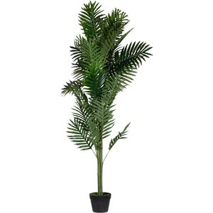 meet-powered-by-PAPERFLOW Kunstpflanze Palme, Kunstpalme im Topf, mit Palmenwedeln, Höhe 160 cm