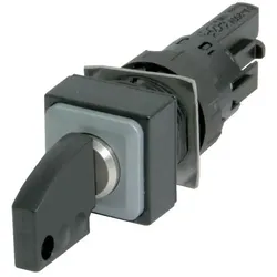 Eaton Schlüsselschalter 2 Positionen, Schalter + Taster, Schwarz