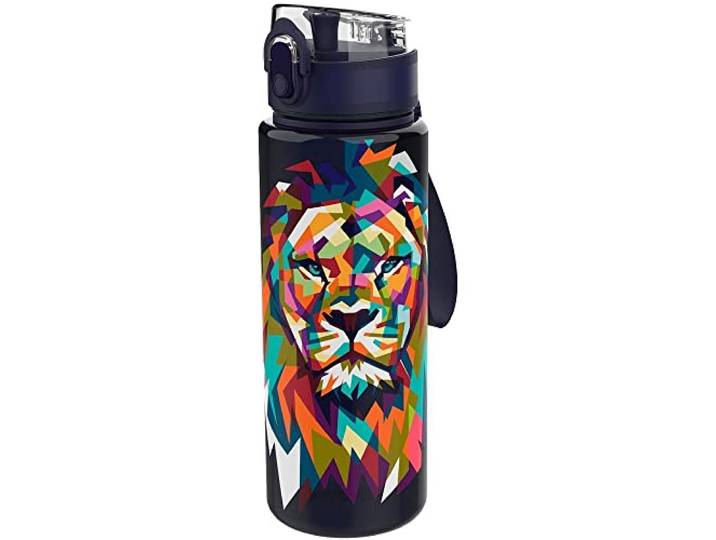 Lunch Buddies Lion Drinkfles, 600 ml