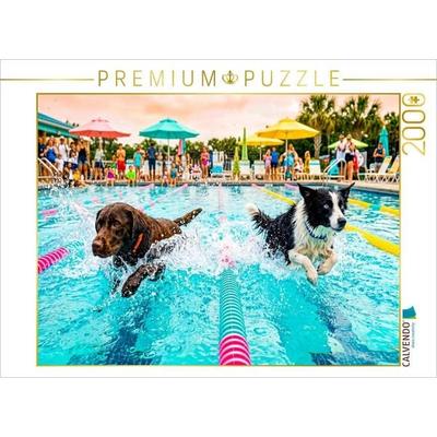 CALVENDO Puzzle Hundeschwimmrennen - Action auf der Schwimmbahn | 2000 Teile Lege-Größe 90x67cm Foto-Puzzle für glückliche Stunden
