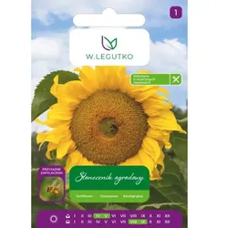 Garten-Sonnenblume, gestreifte Samen