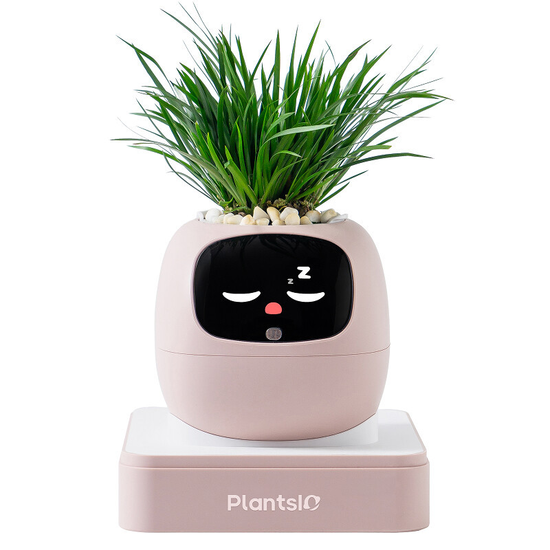 Ivy AI slimme plantenpotrobot met interactieve gezichtsuitdrukkingen en automatische plantverzorging, roze