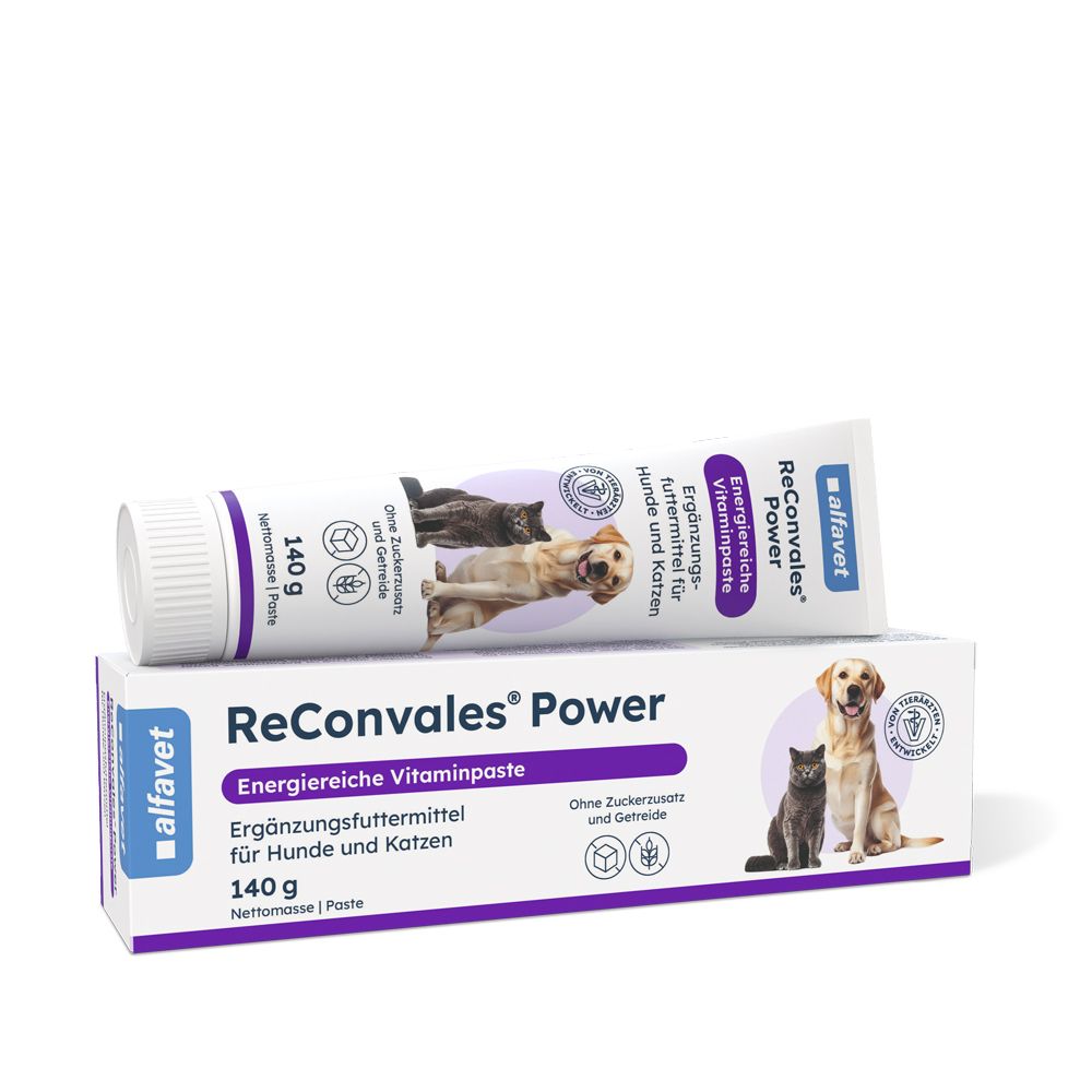 Reconvales Power Vitaminpaste f.Hunde/Katzen 140 g Paste
