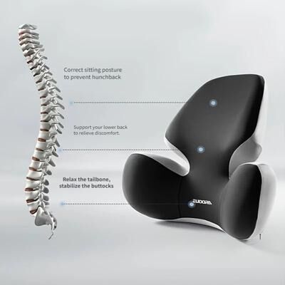 Inspired Finds Car Lumbar Support Pillow For Office Chair And Vehicle Seat black