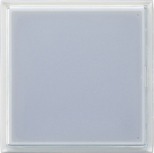 Gira Bouton d’appel station de porte 1 bouton LED blanche 126200 (126200)