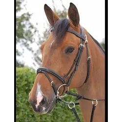 Trense DY Fancy B161 Working Collection