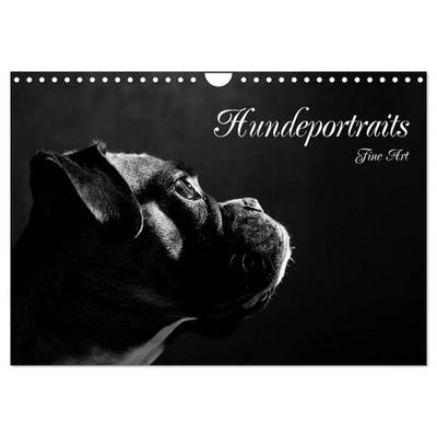 Hundeportraits Fine Art (Wandkalender 2026 DIN A4 quer), CALVENDO Monatskalender