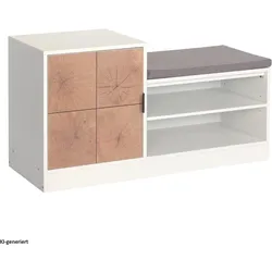 HTI-Living, Schuhschrank, Schuhregal mit Sitzpolster Dana Weiss-Baumscheibe (100 x 39.50 x 55.20 cm)