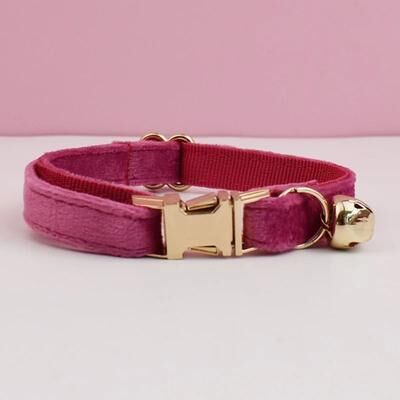 Uplifted Finds Adjustable Bowknot Safety Collar With Custom ID cat Collar 23 l