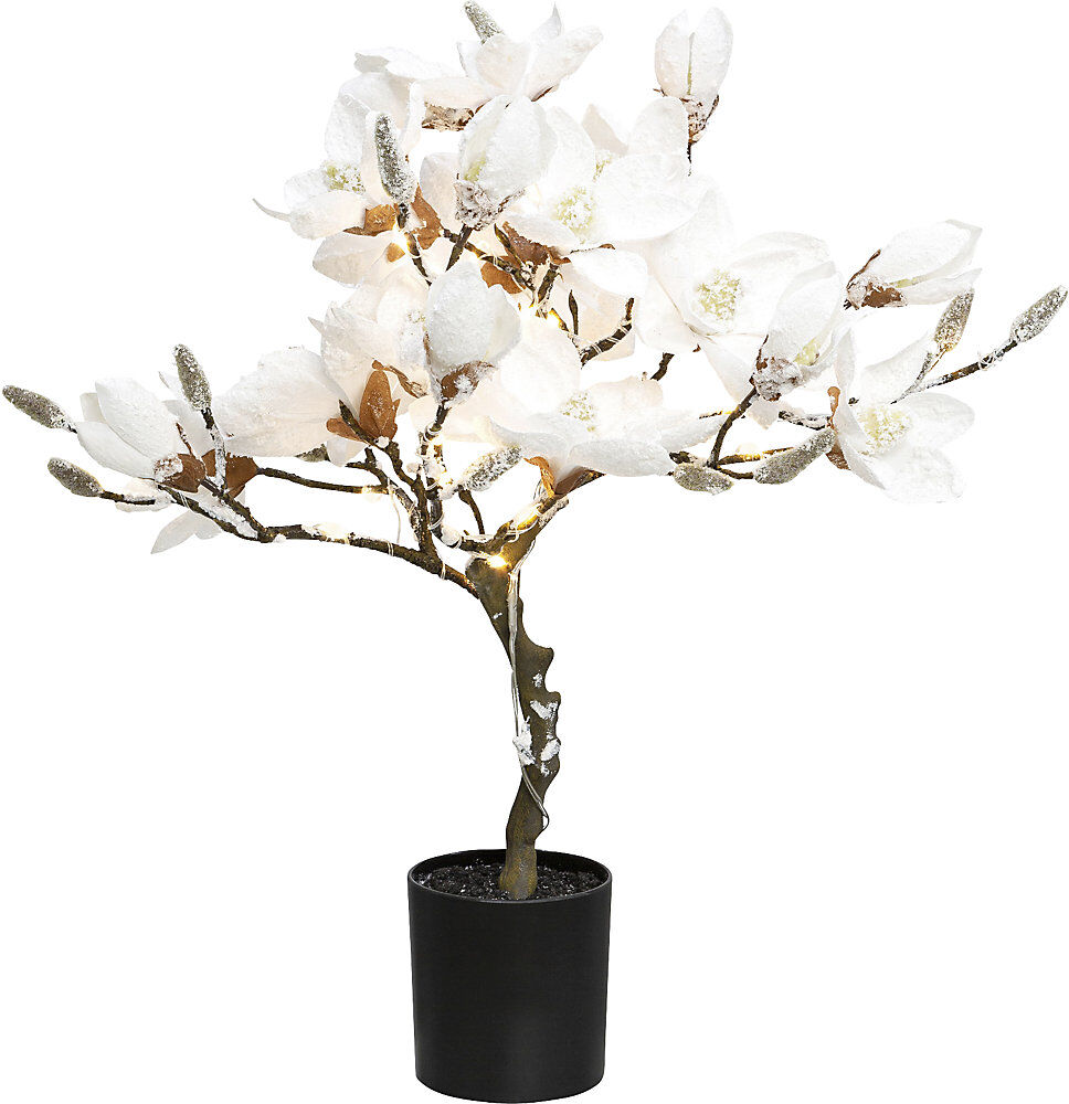 kaiserkraft LED-Magnolienbaum, beschneit, im Kunststofftopf, weiß, Höhe 580 mm, mit 20 LEDs