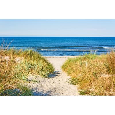 Fototapete PAPERMOON "Beach Access", bunt, B:3m L:2,23m, Vlies, Tapeten
