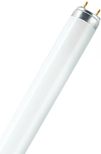 OSRAM LAMPE OSRAM LUMILUX T8, 36W, L 36W/865 6500K, 1200mm
