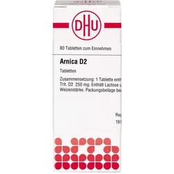 Arnica D 2 80 ST