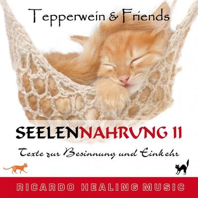 Seelennahrung 2: Texte zur Besinnung und Einkehr (Tepperwein and Friends) - , Audio, 4250701951033