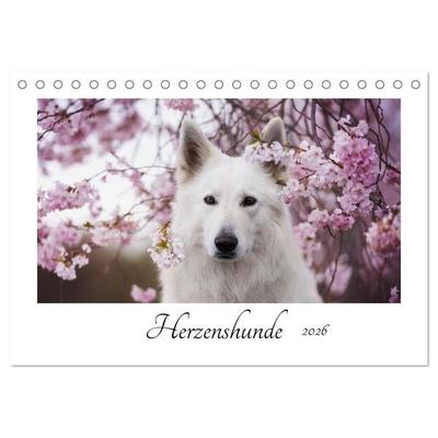 Herzenshunde 2026 (Tischkalender 2026 DIN A5 quer), CALVENDO Monatskalender