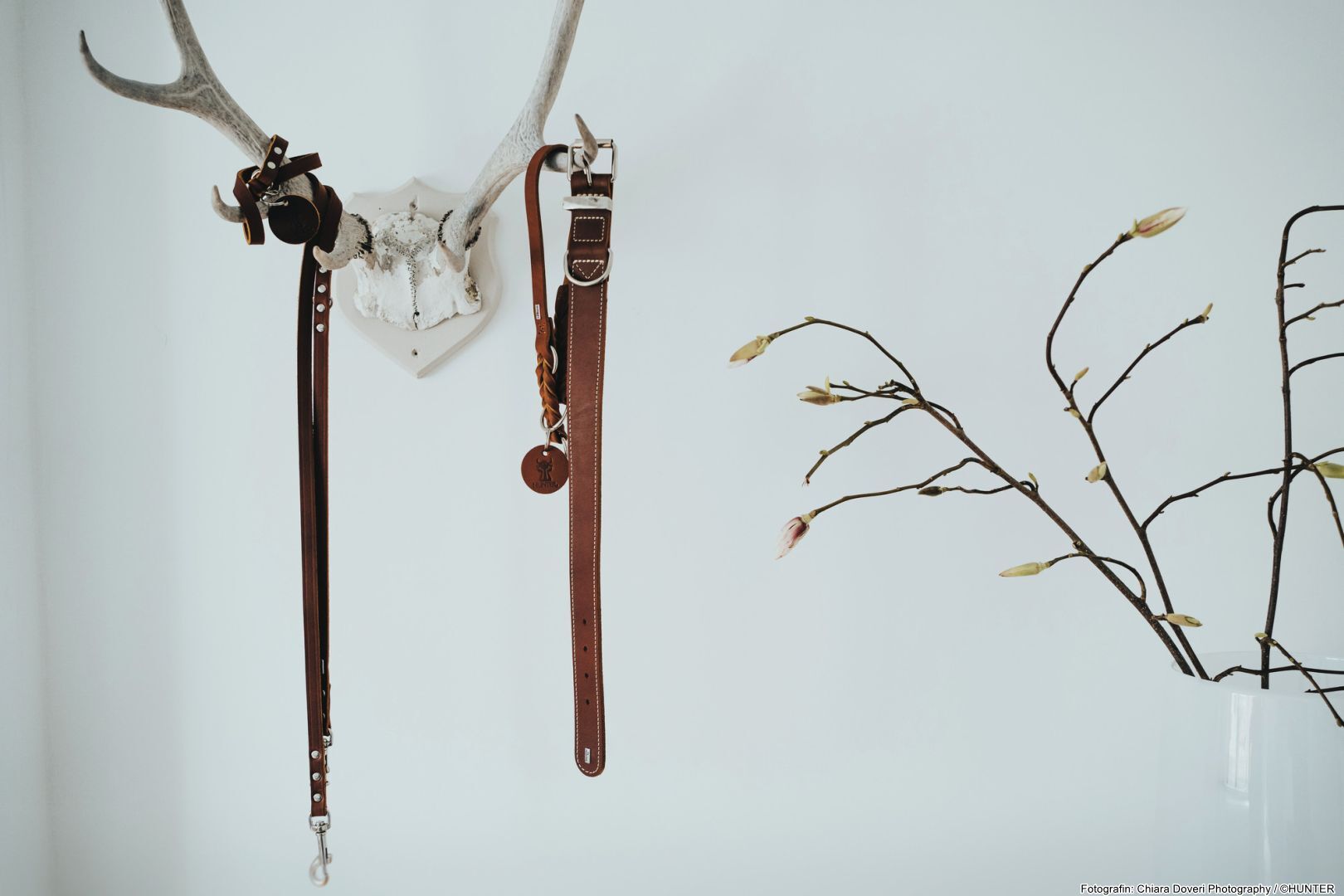 DOG SPORT HUNTER Halsband Aalborg Special S (40), cognac