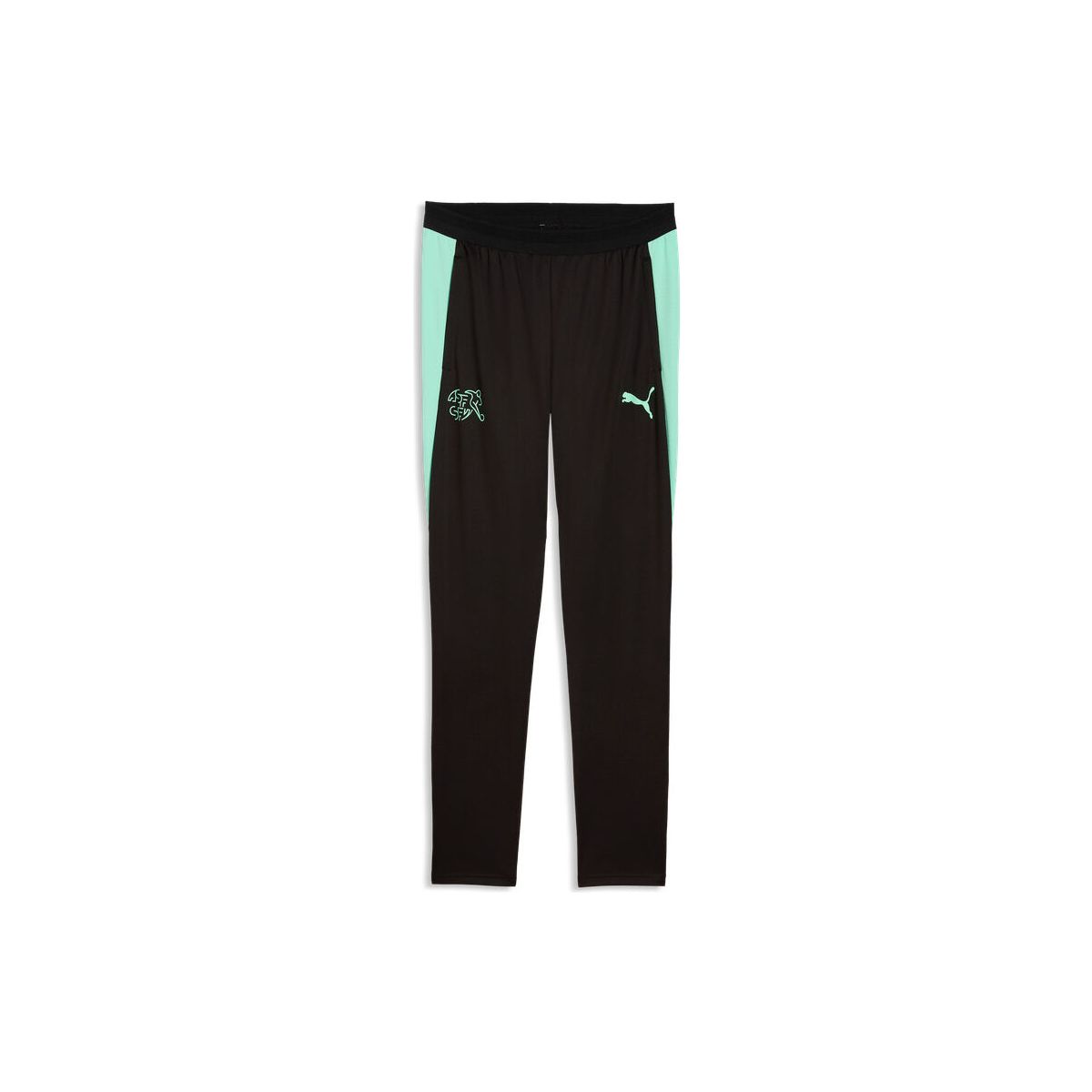 Puma SFV Training Pants w/ Pockets puma black-green glimmer (10) L 784181-10-L