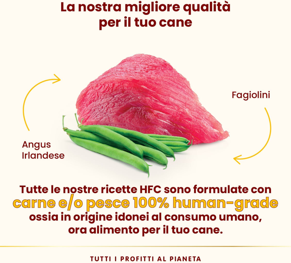 Almo Nature HFC Complete Dog Vaschetta Multipack 17x85G MANZO IRISH ANGUS CON FAGIOLINI