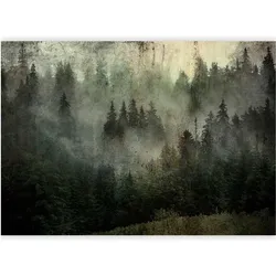 Artgeist, Tapete, Fototapete - Misty Beauty of the Forest (300 x 210 cm)