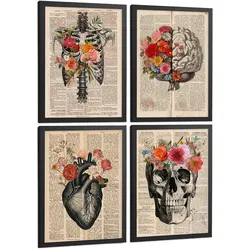 POSTER Set aus 4 Vintage Anatomie Drucke und Wandbilder mit Herz Schädel Skelett und Gehirn Collage Stil Wanddekoration Größe Schwarzer Rahmen A4