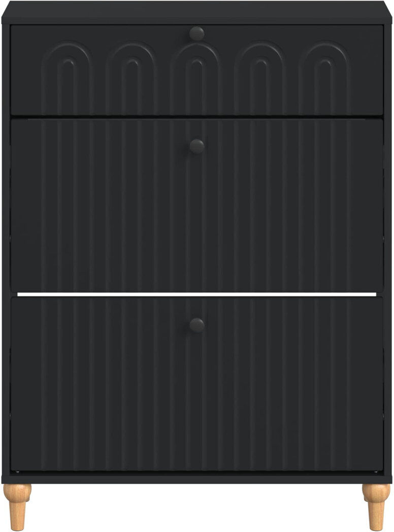 Brayden Studio Shoe Storage Black