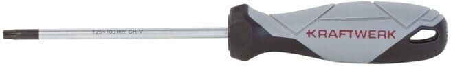 Kraftwerk BASIC LINE Tournevis TX T25 x 100 mm (305.103.025)