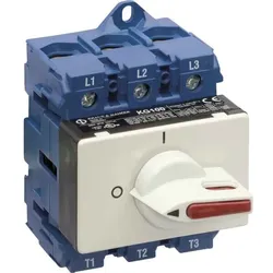 Kraus&amp;Naimer Hauptschalter KG10A T303/58 VE2
