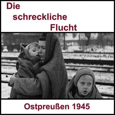 Die schreckliche Flucht - Familie Steinhoff, Audio, 9783911338011