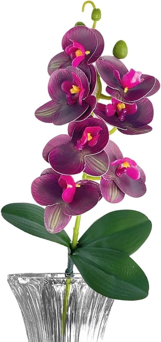 Donker paarse kunstbloem orchidee met levensechte steel voor woonkamer decoratie, Hoogte: 40 cm